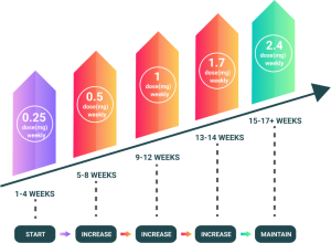 Weight Loss Programs & Plans Melbourne FITin56